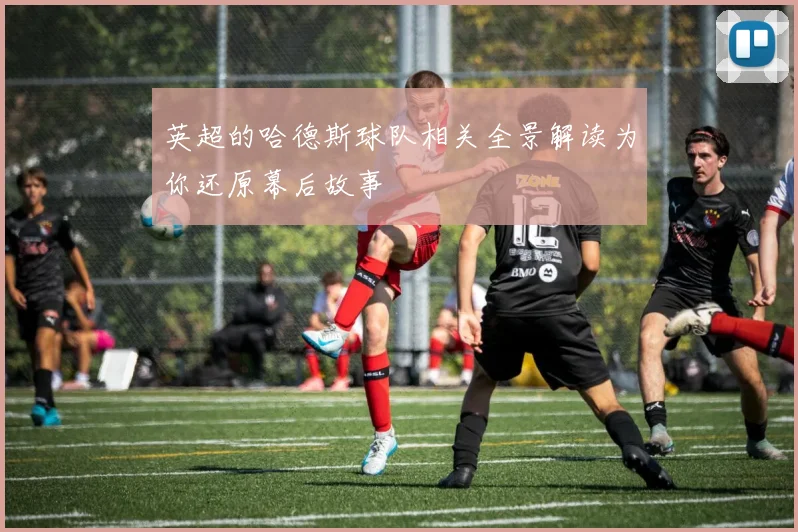 英超的哈德斯球队相关全景解读为你还原幕后故事